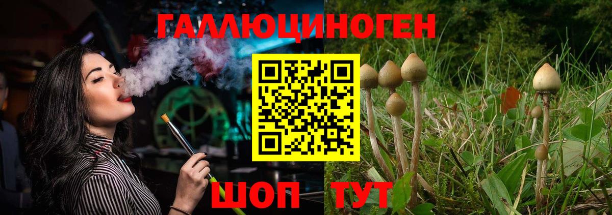 Псилоцибиновые грибы мухоморы  Вход с VPN  Ижевск  что такое   Галлюциногенные грибы Psilocybe 